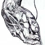 Statue of David Replica Hand I