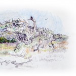 Nease Beachfront Park